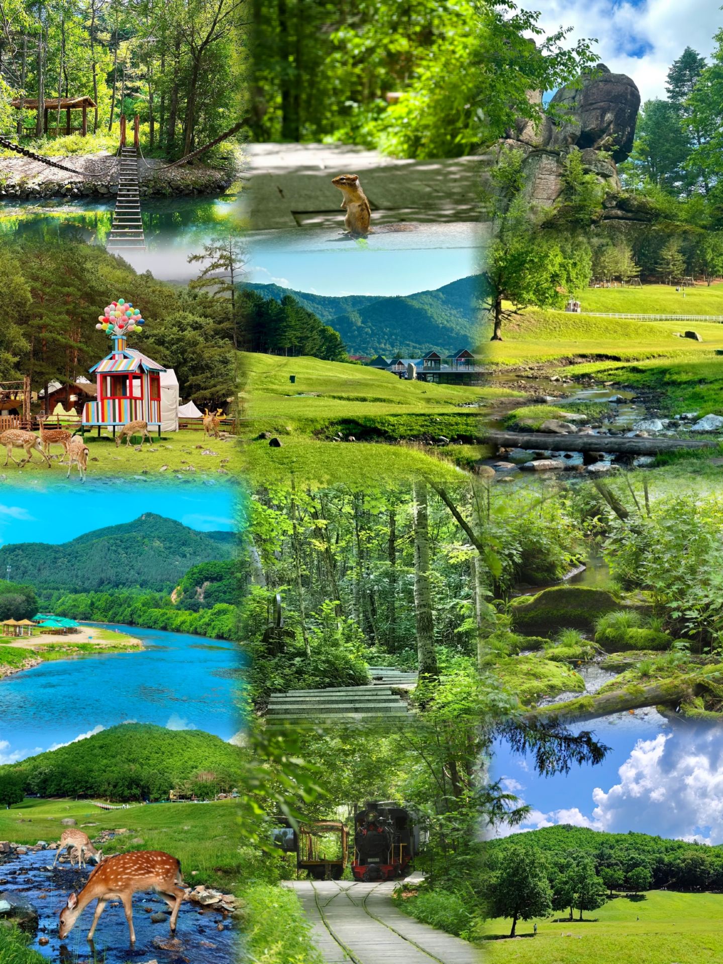 Yichun is beautiful, but don’t plan to go in August because it’s so stunning and healing you won’t want to leave