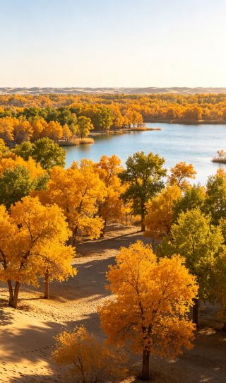 Hindari keramaian Hari Nasional! Hutan Poplar Jinta di akhir musim panas, dengan danau-danau hijaunya yang rimbun, bahkan lebih menenangkan daripada di musim gugur.