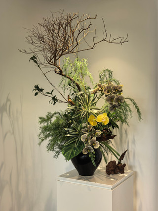 Shenzhen Art Museum free exhibition guide