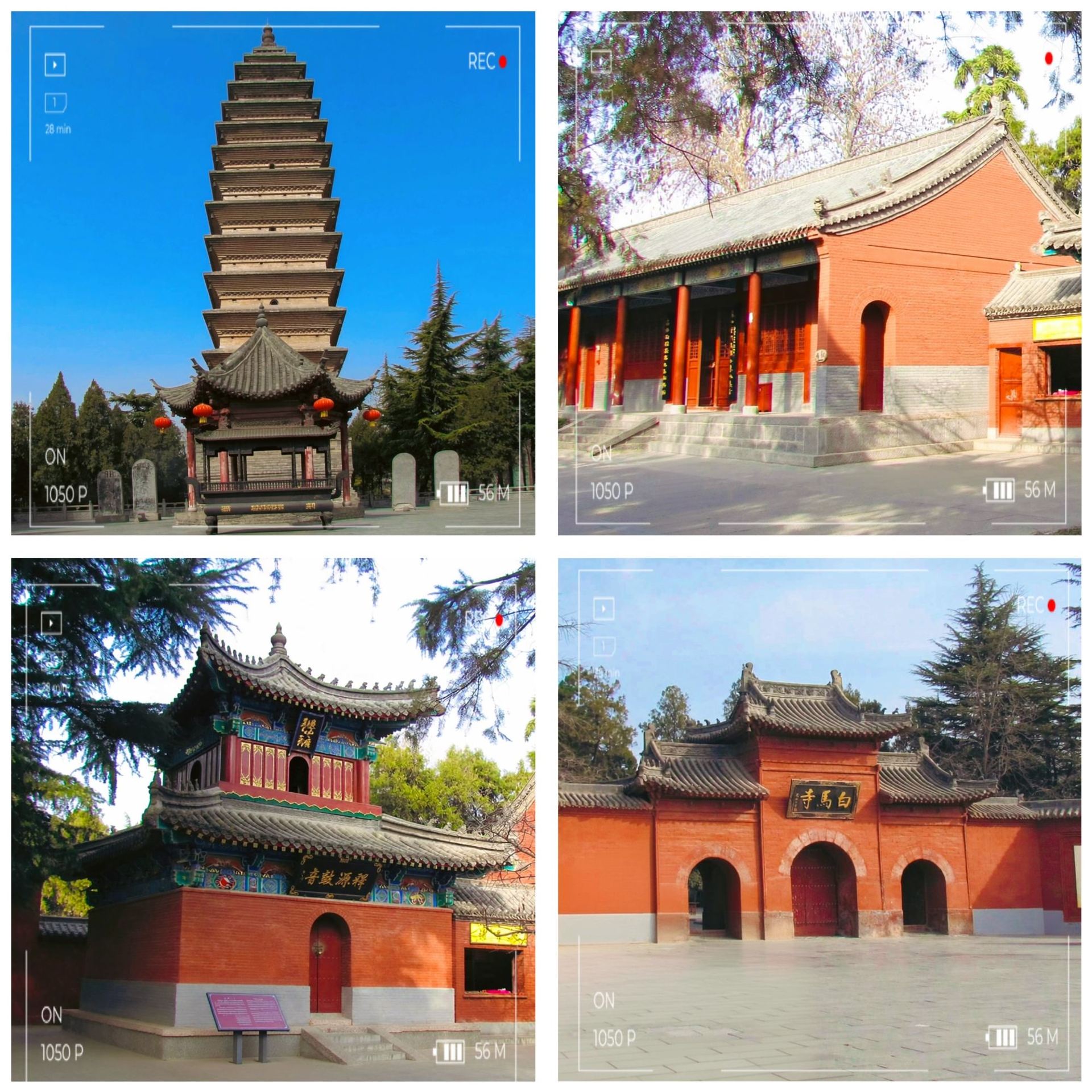 White Horse Temple Deserves Way More Hype 🐴🛕