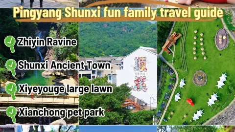 Wenzhou Shunxi one-day family trip | Unlock healing forest experiences — traveler post in Pingyang