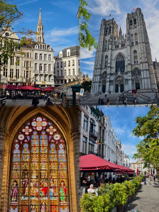 ตัดใจเลือกเบลเยียมคือที่สุด! ดีงามจนใจฟู 🇧🇪
