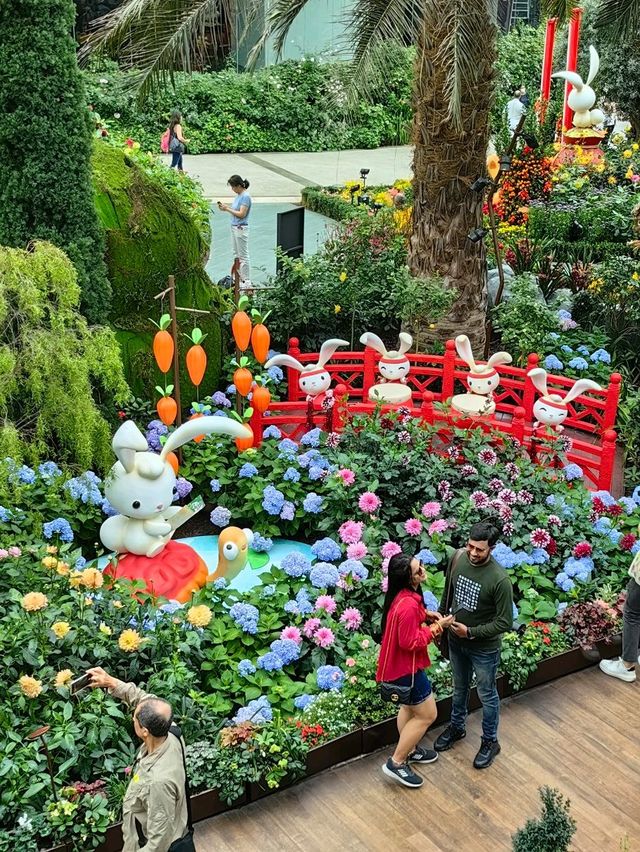 Dahlia Dreams @GardensByTheBay