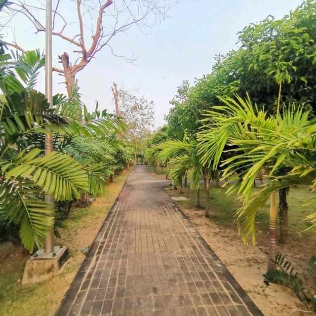 เดินเล่นสวนเฉลิมพระเกียรติที่แปดริ้ว