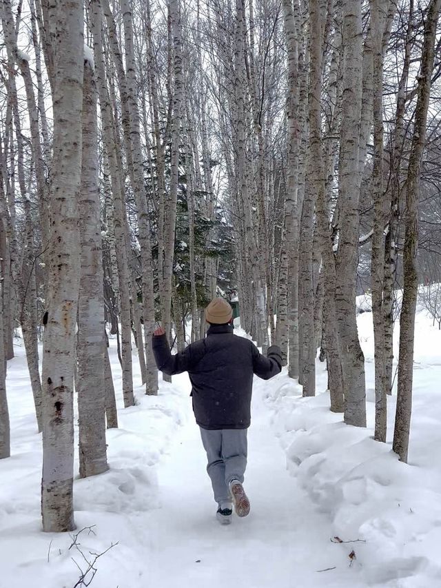 믿고 가는 홋카이도 스팟 모음집 8곳📸