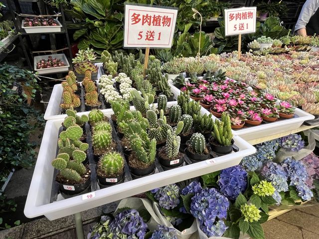 香港特色街道 @ 旺角花墟 香港特色街道 @ 旺角花墟