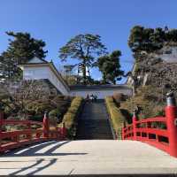 毗鄰東京的中世紀城堡🏯小田原城
