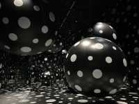 香港展覽 | M+ | 草間彌生：一九四五年至今