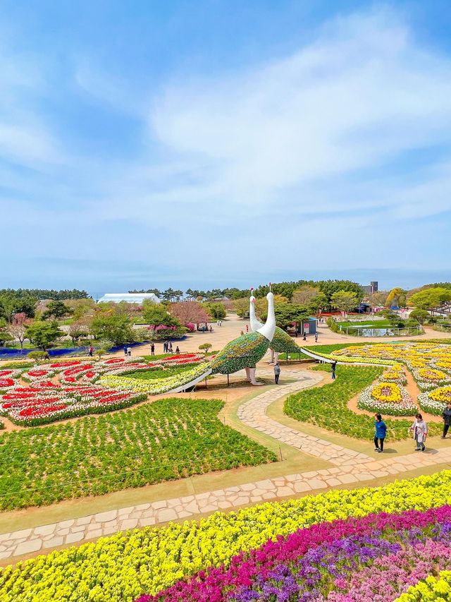 서울에서 약 두시간반! 꽃향기 가득 플라워파크💐