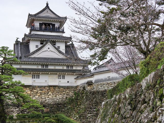 【高知市】日本百名城の春🌸