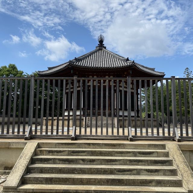 名勝「奈良公園」観光客で賑わい鹿は元気でした