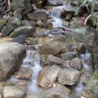 Penang Botanical Garden - a treasure for all