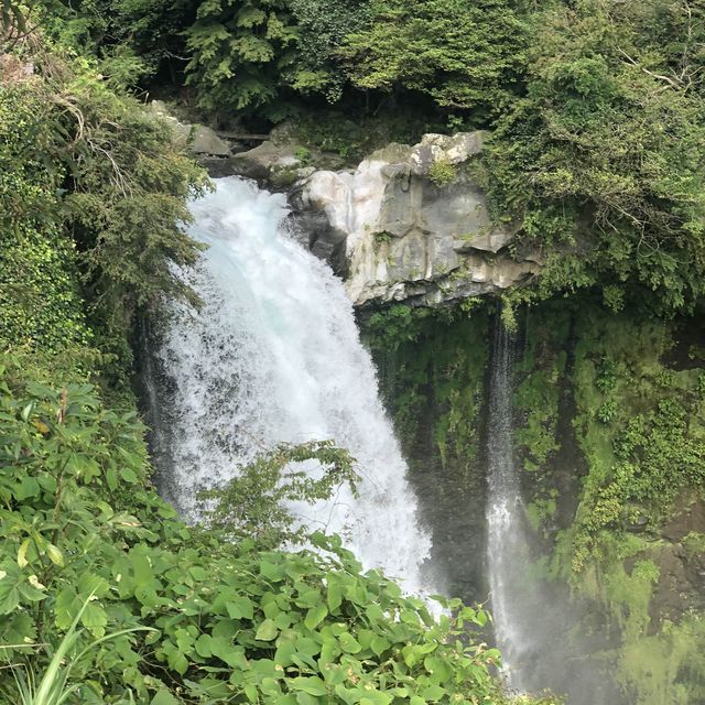 【静岡】白糸・音止の滝