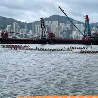 2023 Hong Kong International Dragon Boat Races