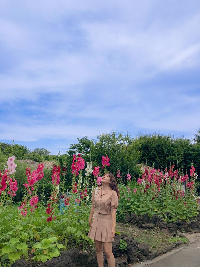서귀포 여름꽃 다양하게 만날 수 있는 ‘제주민속촌’