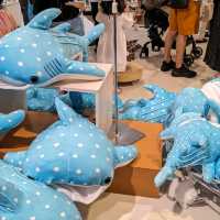 【巨大水槽を浅瀬から深層まで眺める】水族館