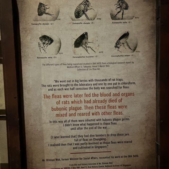 🦁 Singapore discovery Center 🇸🇬
