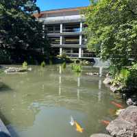 A peaceful pitstop near Harajuku 