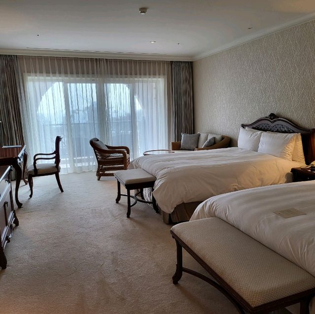 멋진 조경과 힐링하기 좋은 제주 롯데호텔 🏨 - 프리미어 가든뷰, 오션뷰, 수영장, 브런치