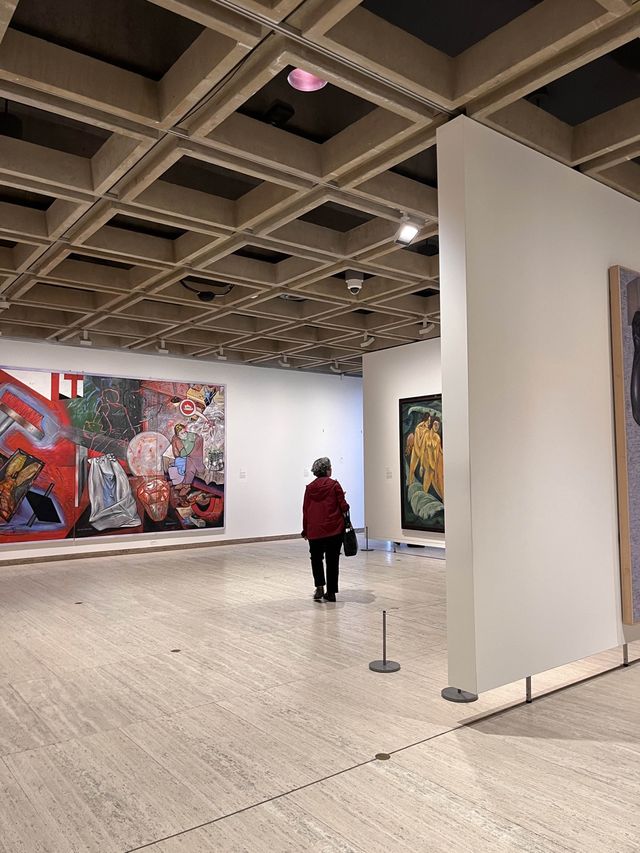 건물이 궁궐 같은 미술관, 뉴사우스웨일스주립 미술관🖼️ 