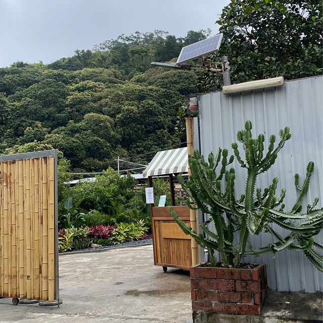 【梅窩網紅Cafe】thehideouthk 秒帶你到泰國
