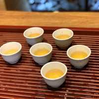 제주녹차밭 구경하기💚 “오설록 티 뮤지엄”🍵