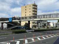 日本名古屋｜百年老店蓬萊軒