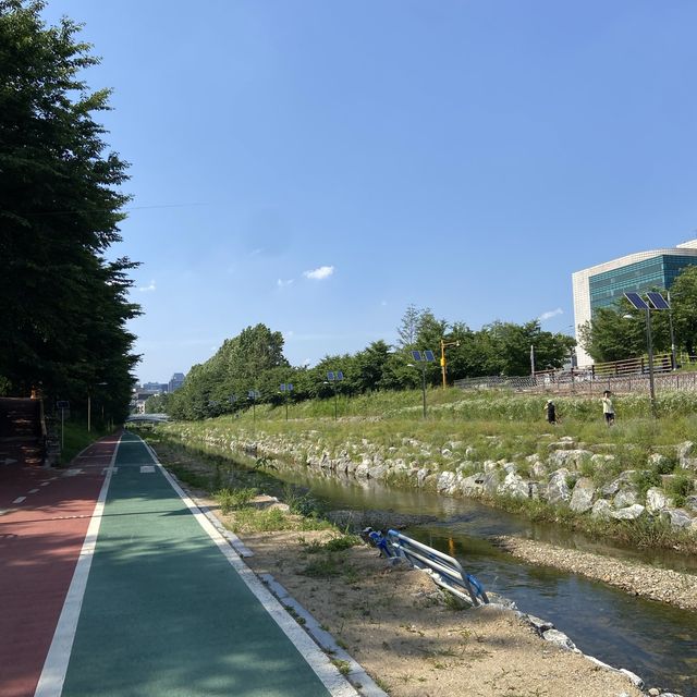 도심 속 자연을 즐기기 좋은 양재 시민의 숲 🌳