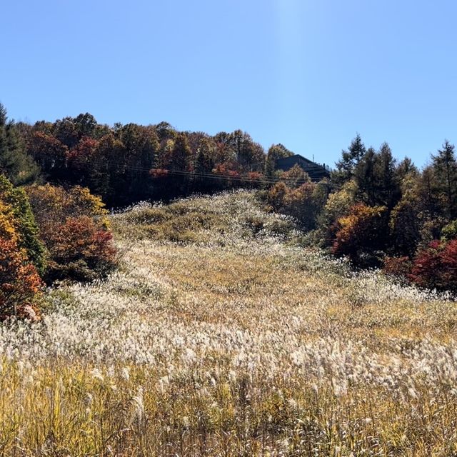 Fall in love with Hakuba 