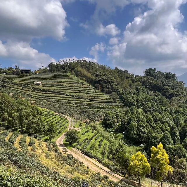 金光峽梯田生態風景區 🌾登高賞景🏞️🌾