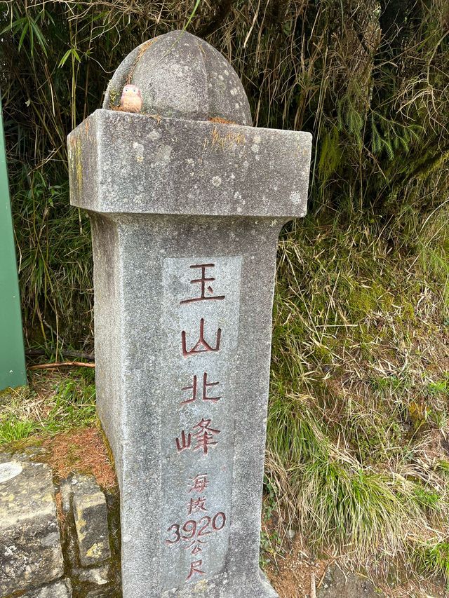 🏔️ 台灣最高峰玉山 3952 公尺🚩台灣百岳挑戰成功！