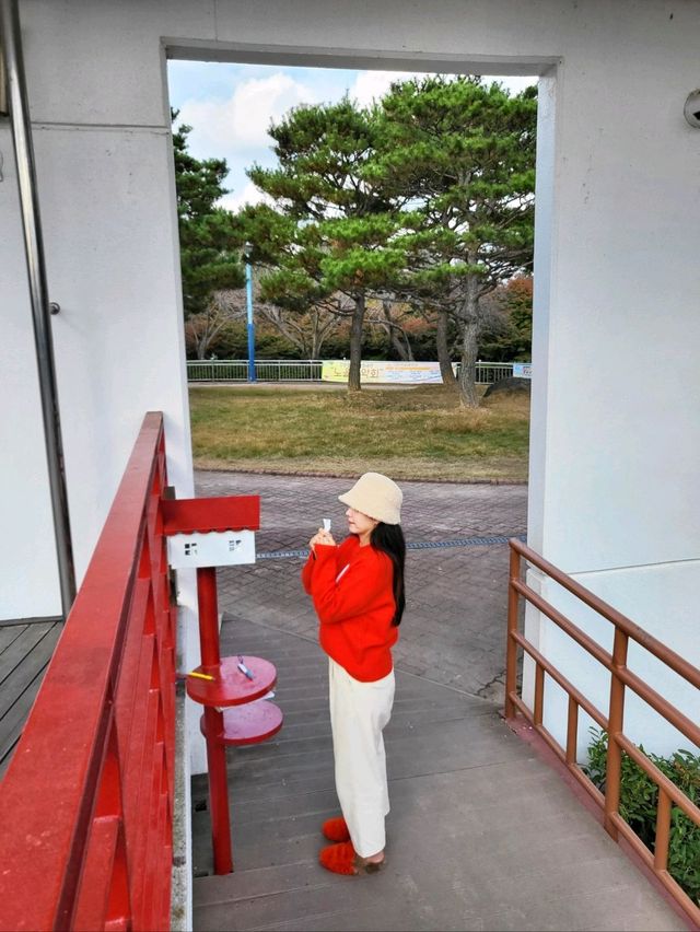 진양호 소원계단 걸으며 소원 빌어보기🙏