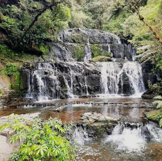 Purakaunui Falls Track  