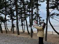 충남 서천 글램핑 추천 (돔으로 된 글램핑?!) 장항글램핑