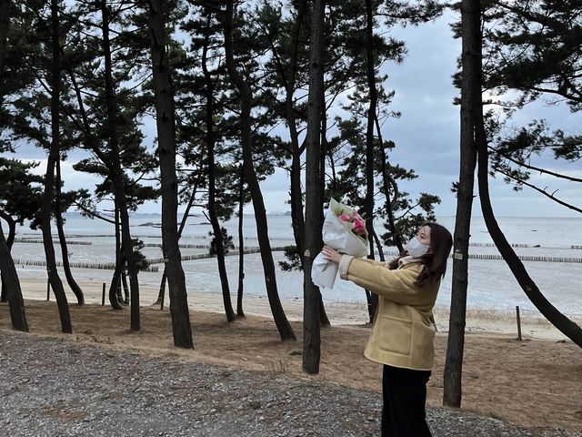 충남 서천 글램핑 추천 (돔으로 된 글램핑?!) 장항글램핑