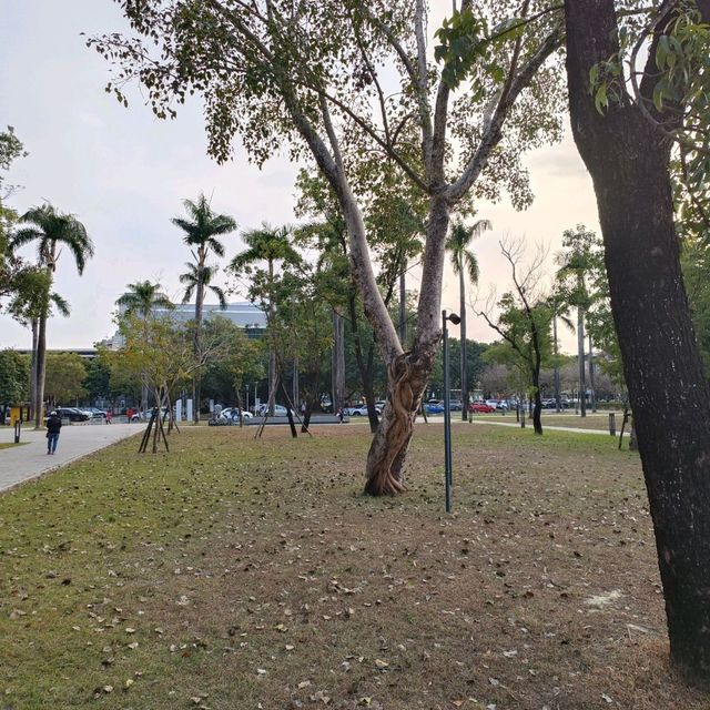 屏東總圖 環境舒適愜意