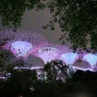 Spend whole day at Gardens by the Bay