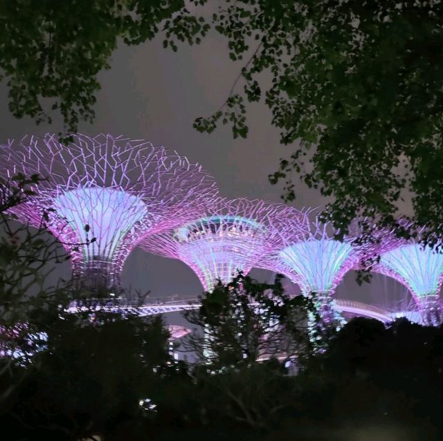 Spend whole day at Gardens by the Bay