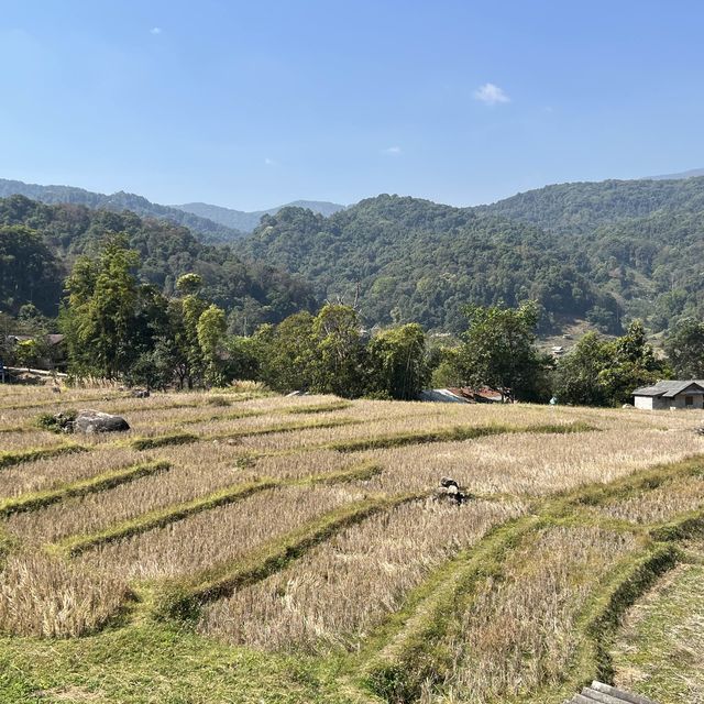 清邁- 茵他儂國家公園泰北部落保護村