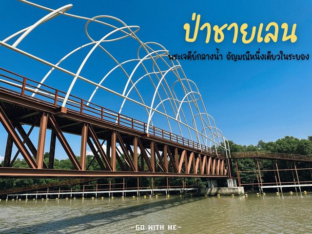เที่ยวป่าชายเลน เรียนรู้ธรรมชาติ ที่จังหวัดระยอง