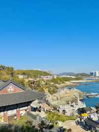 바다가 보이는 한국에서 가장 아름다운 사찰🪷