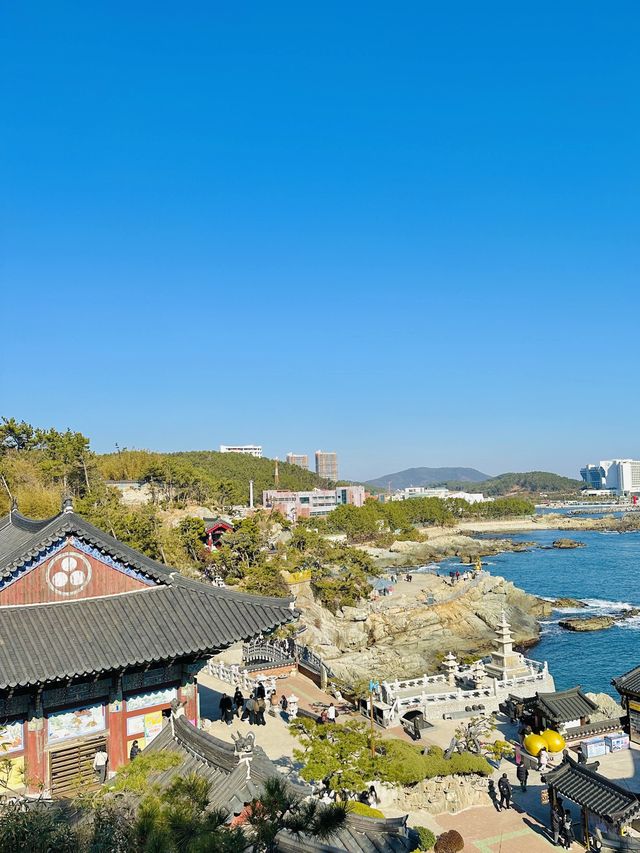 바다가 보이는 한국에서 가장 아름다운 사찰🪷