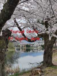 🇯🇵1 day tripที่นีงาตะ ญี่ปุ่น
