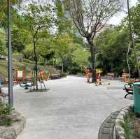 Montanha Russa Park Nature 