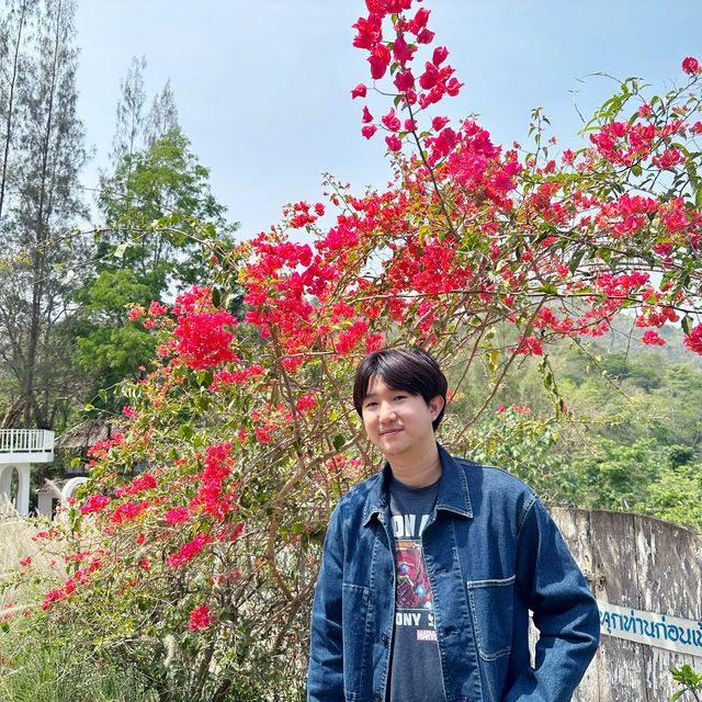 Scenic Rabbit/Chicken Farm @ Ratchaburi