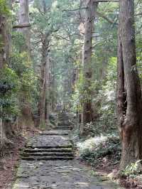 熊野古道から熊野那智大社、青岸渡寺へ