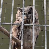 與動物園並設的「福岡市植物園」