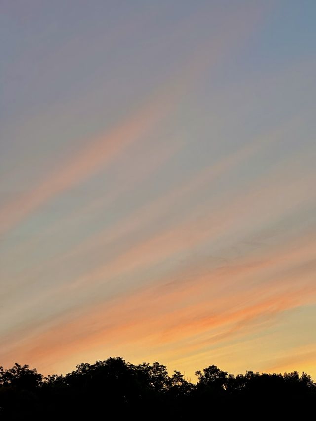 올해 첫 페스티벌은 톤앤뮤직페스티벌🌤️