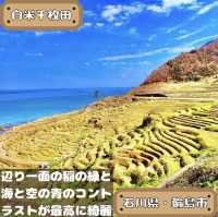 白米千枚田