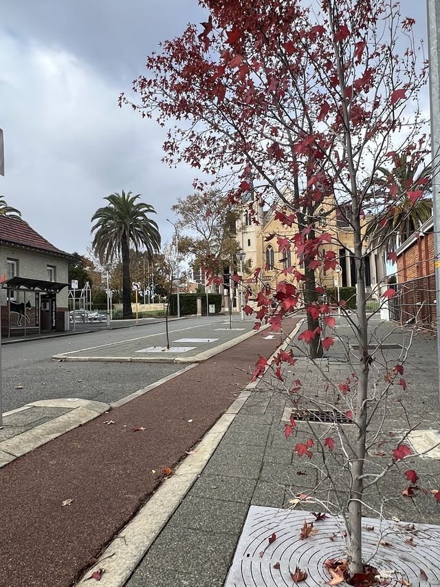 The Streets of Perth!😎🇦🇺🦘Perth City!!